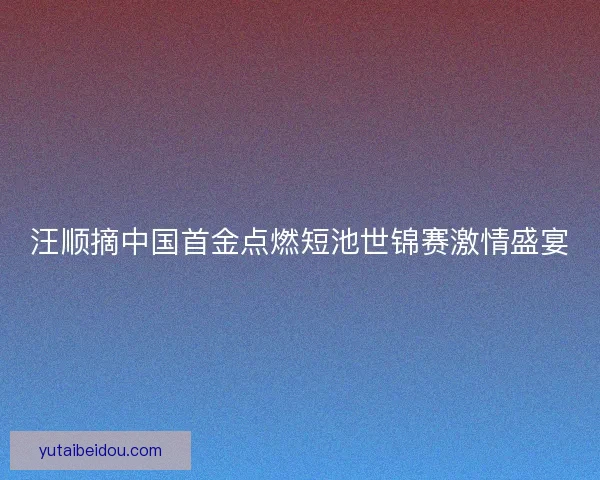 汪顺摘中国首金点燃短池世锦赛激情盛宴