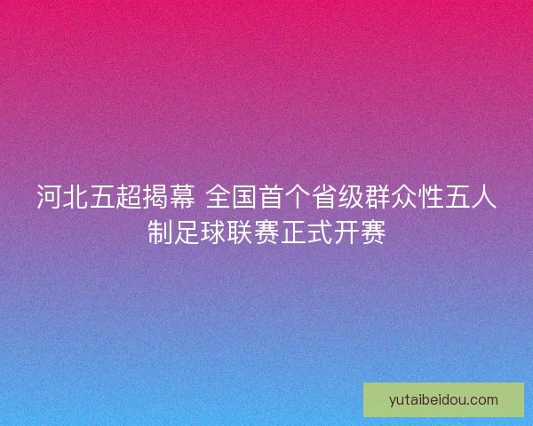 河北五超揭幕 全国首个省级群众性五人制足球联赛正式开赛